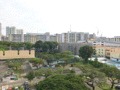 Blk 335 Clementi Avenue 2 (Clementi), HDB 3 Rooms #164266332